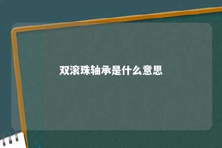 双滚珠轴承是什么意思 